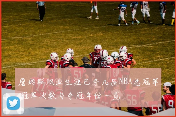 詹姆斯职业生涯已夺几座NBA总冠军 冠军次数与夺冠年份一览