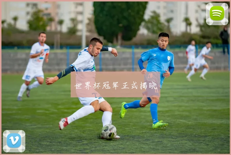 世界杯冠军正式揭晓