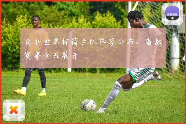 南非世界杯荷兰队阵容公布，备战赛事全面展开